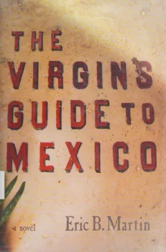 The virgin's guide to Mexico