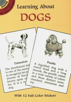 Learning about dogs