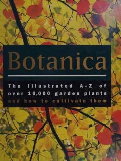 Botanica