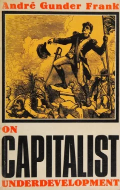 On capitalist underdevelopment