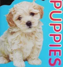 Puppies