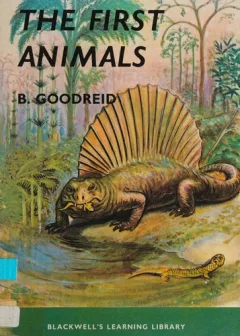 The first animals