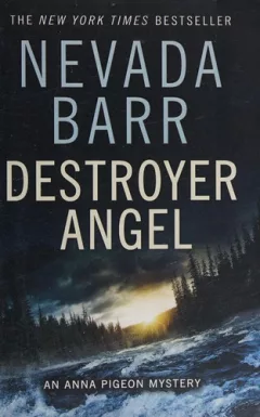 Destroyer angel