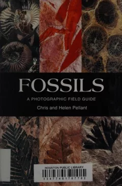 Fossils