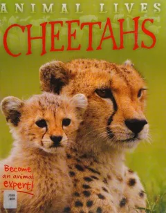 Cheetahs