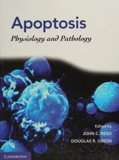 Apoptosis