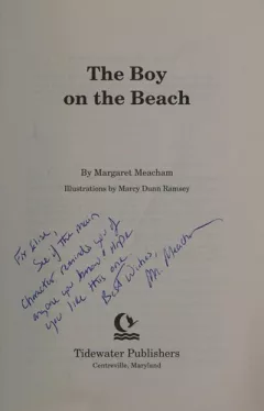 The boy on the beach