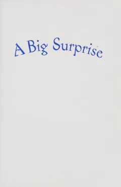 A Big Surprise