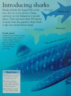 Sharks