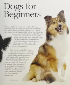 The dog selector