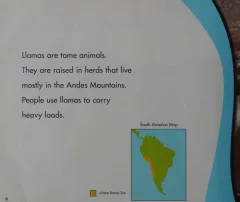 Llamas