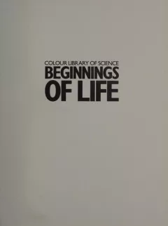 Beginnings of life