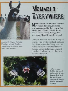 Mammals