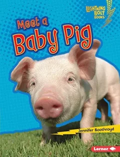 Meet a baby pig