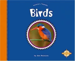 Birds (Nature's Friends)