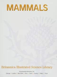 Mammals