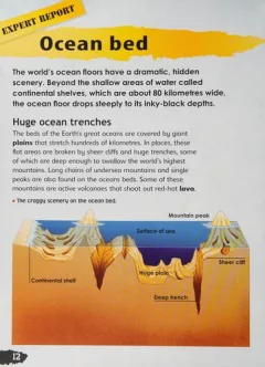 The world's oceans