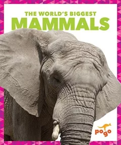 The world's biggest mammals