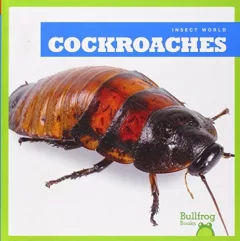 Cockroaches