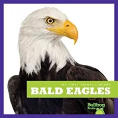 Bald eagles
