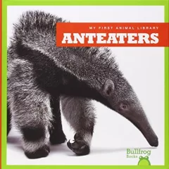 Anteaters