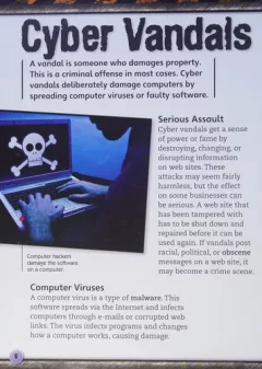 Cyber crime secrets