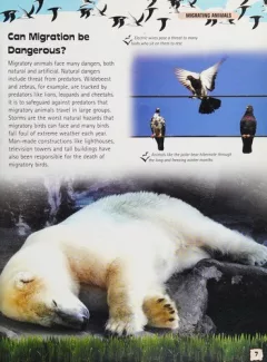Migrating animals