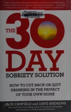 The 30 day sobriety solution