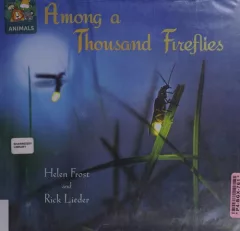 Among a thousand fireflies