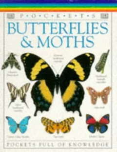 Butterflies & moths