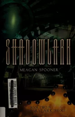 Shadowlark