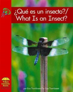 What is an insect