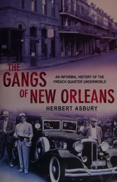 The Gangs of New Orleans