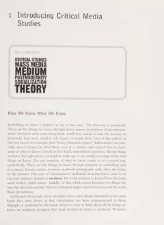 Critical media studies
