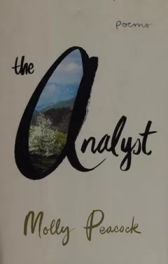 The analyst