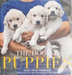 The Dogist Puppies