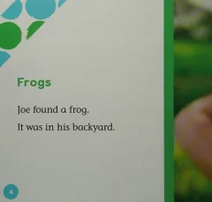 Frogs