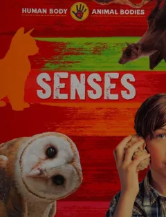 Senses