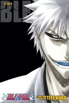 Bleach (3-in-1 edition)