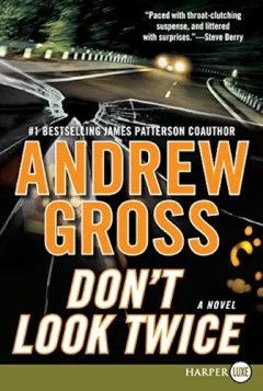 Don't look twice [Large Print]