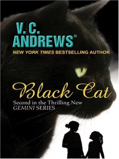 Black cat