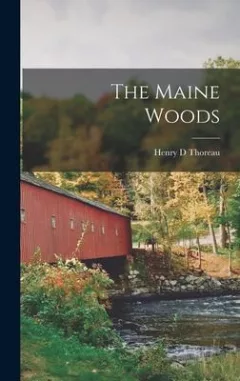 Maine Woods