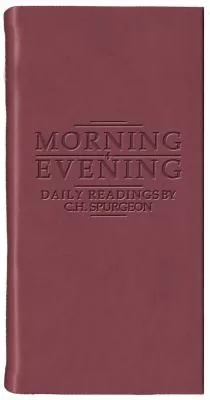 Morning & Evening