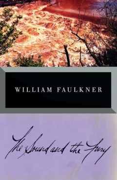 Sound and the Fury (Vintage International)