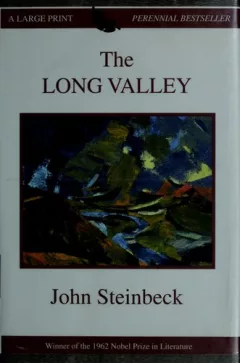 The long valley