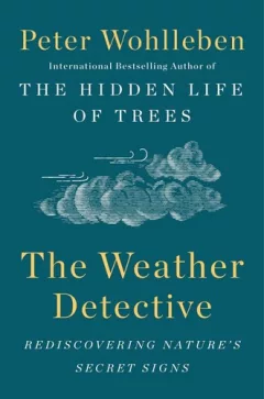 The weather detective