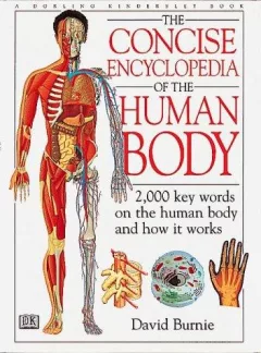 Human Body