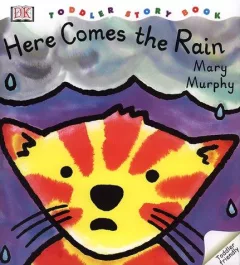 Here comes the rain