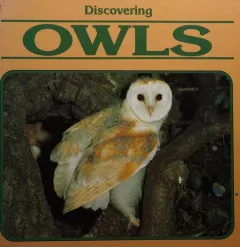 Discovering owls.