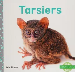 Tarsiers (Nocturnal Animals)